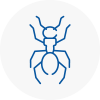 Ant Removals In Hollingworth