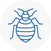 Bed Bug Extermination In Hollingworth