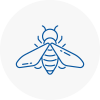 Bee Nest Removal Hollingworth