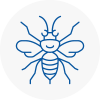Hollingworth Hornet Nest Removals