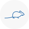 Mice Exterminators In Hollingworth