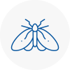 Moth Control Specialists In Hollingworth