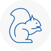 Hollingworth Rodent Removals