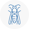 Hollingworth Wasp Nest Removal